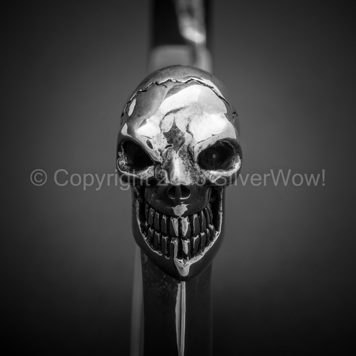 Silver Skull Cuff Bangle